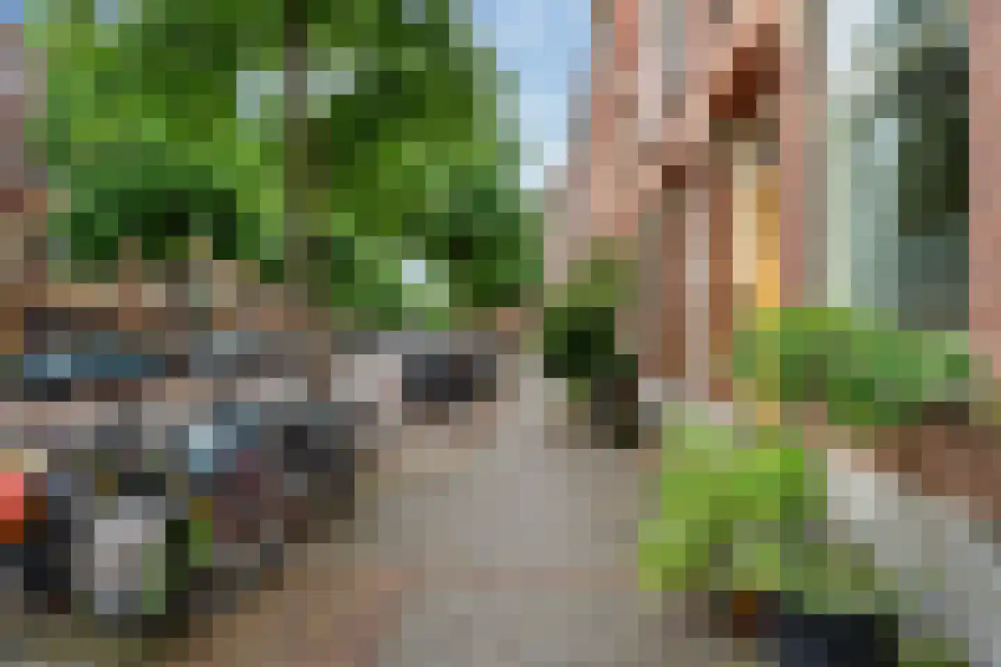 Rodenrijsestraat 65 Rotterdam thumbnail 32