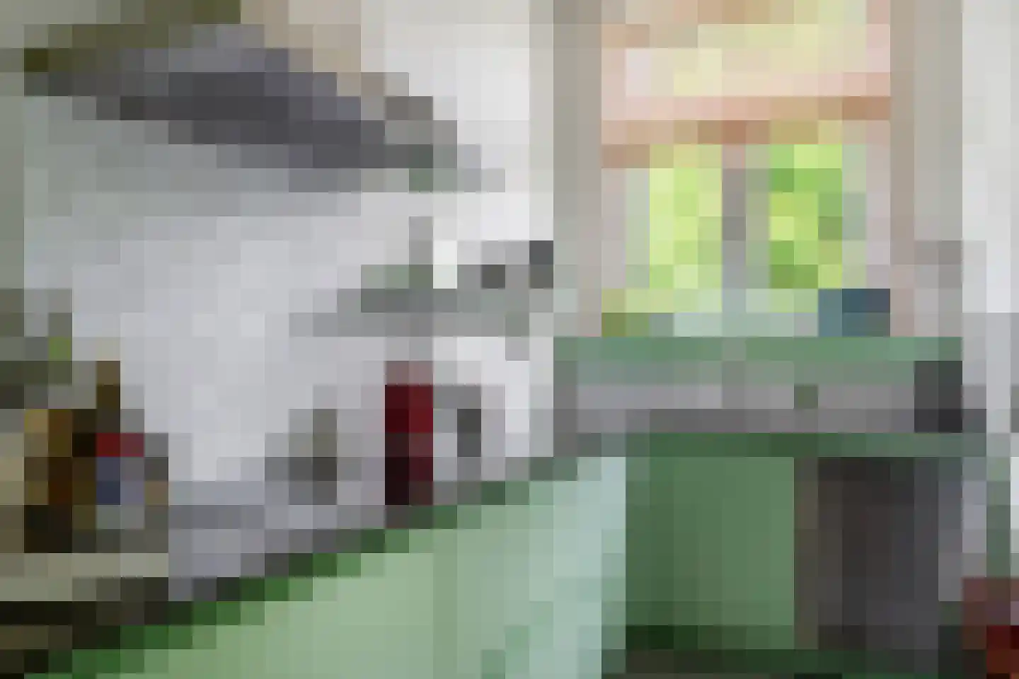 Rodenrijsestraat 65 Rotterdam thumbnail 4