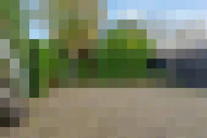 Rodenrijseweg 119 Berkel en Rodenrijs thumbnail 40