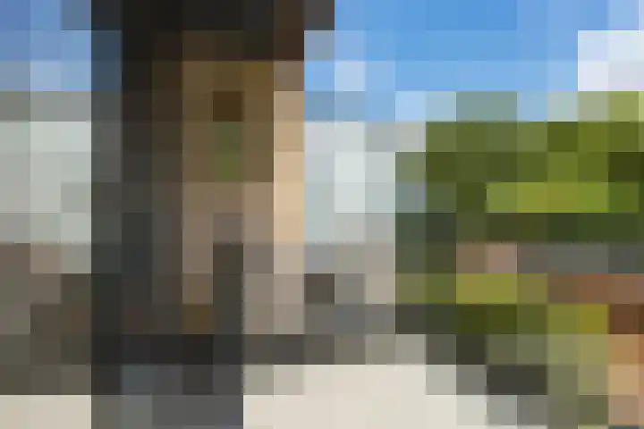 Rodenrijseweg 121 Berkel en Rodenrijs thumbnail 21