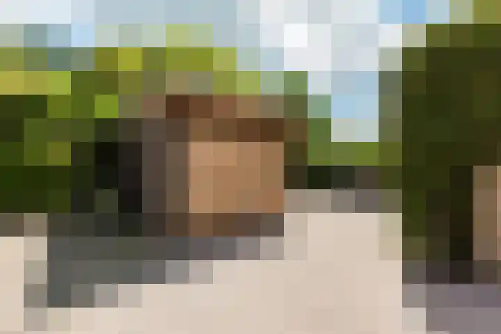 Rodenrijseweg 121 Berkel en Rodenrijs thumbnail 42