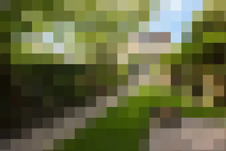 Rodenrijseweg 121 Berkel en Rodenrijs thumbnail 50