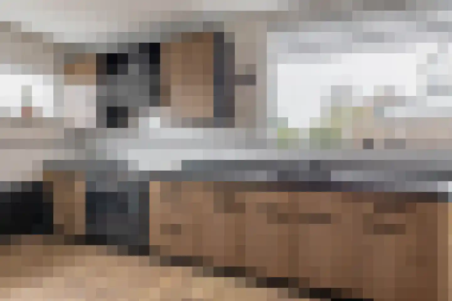 Rodenrijseweg 147 Berkel en Rodenrijs foto 3