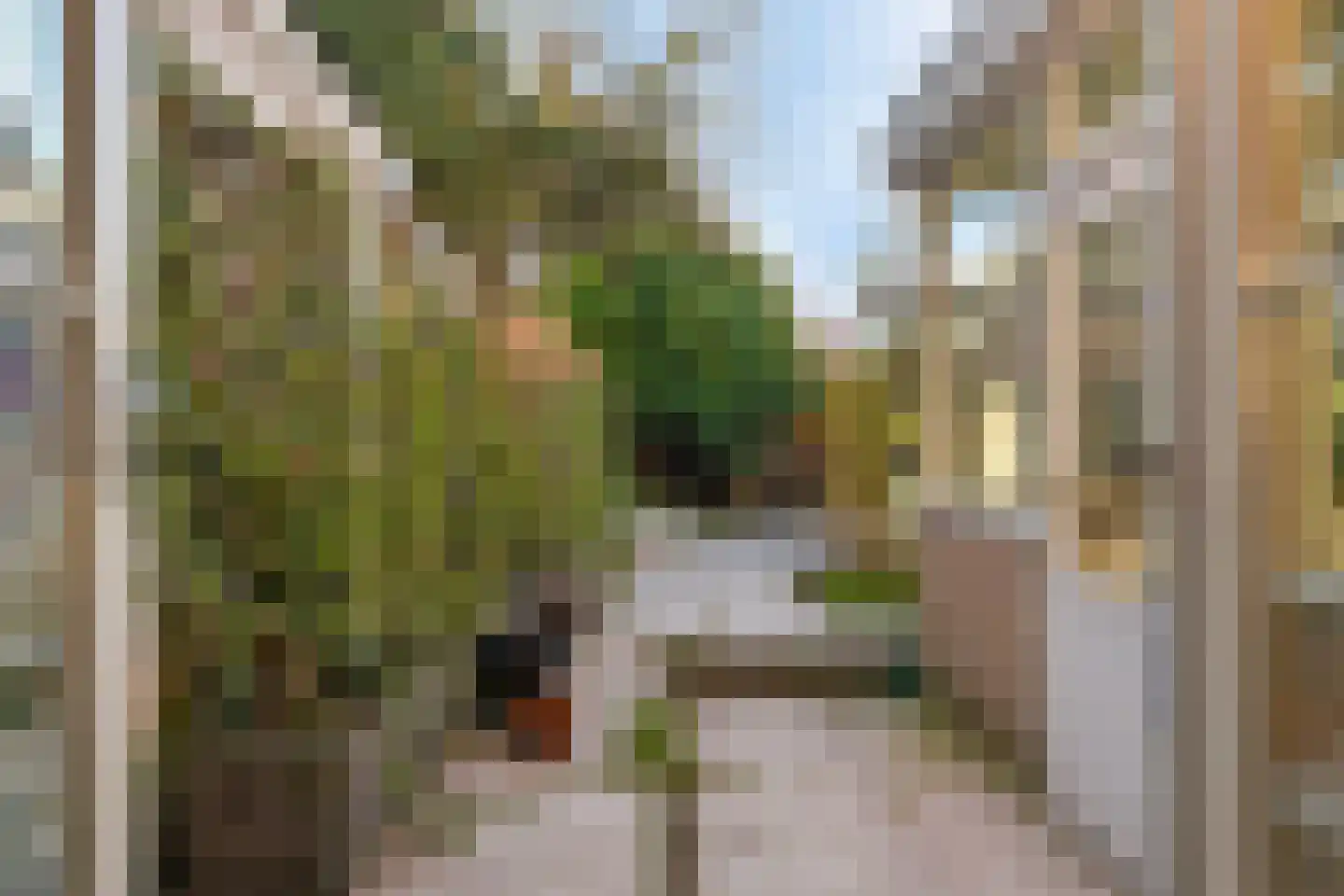 Rodenrijseweg 15 Berkel en Rodenrijs thumbnail 15
