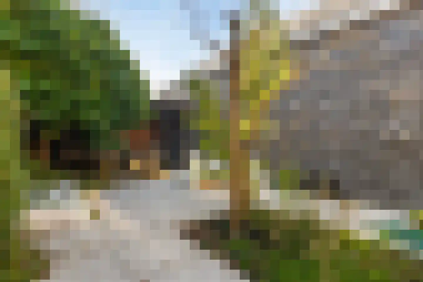 Rodenrijseweg 15 Berkel en Rodenrijs thumbnail 16