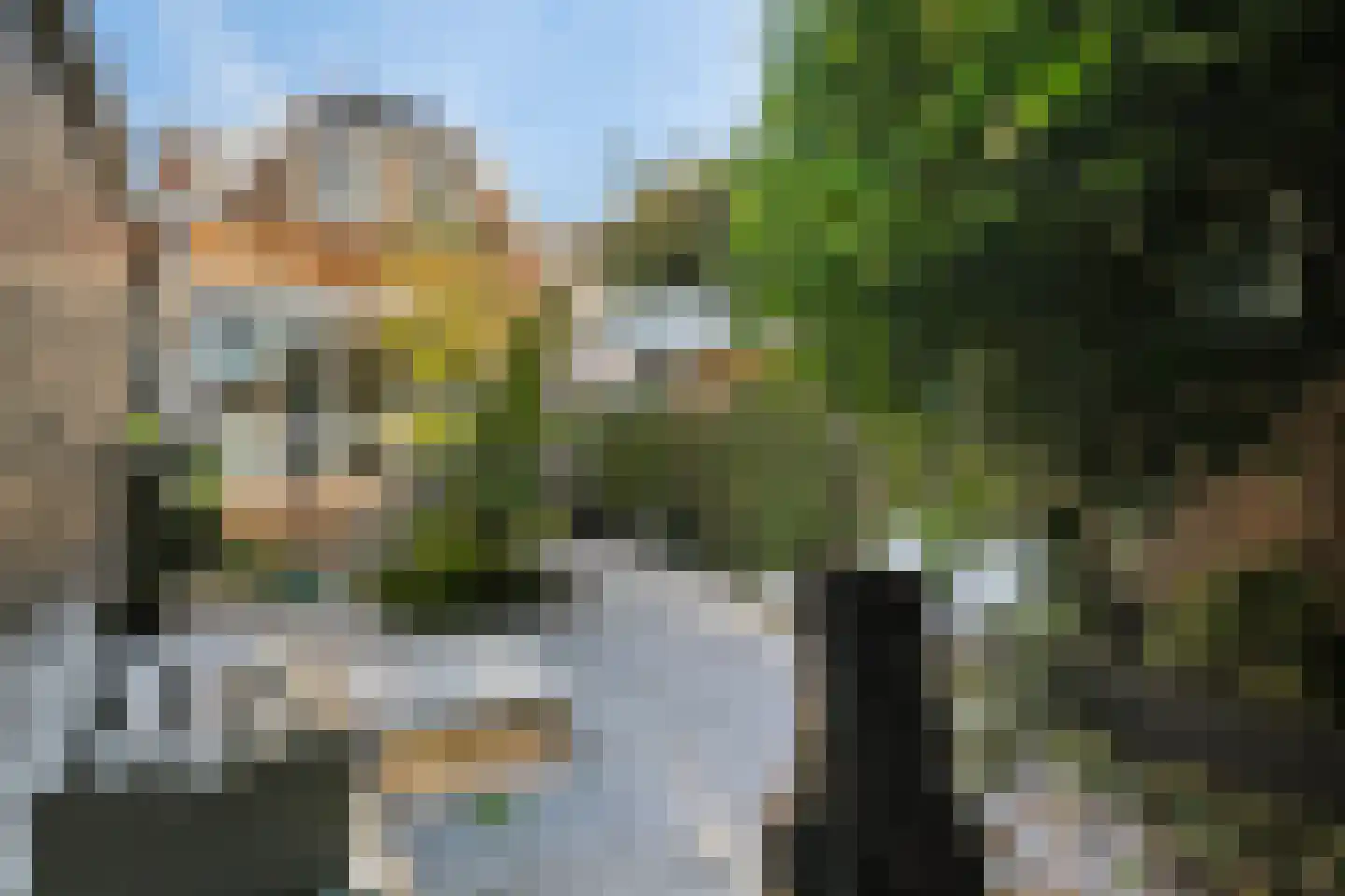 Rodenrijseweg 15 Berkel en Rodenrijs thumbnail 18
