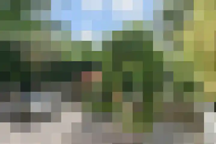 Rodenrijseweg 271 Berkel en Rodenrijs thumbnail 17