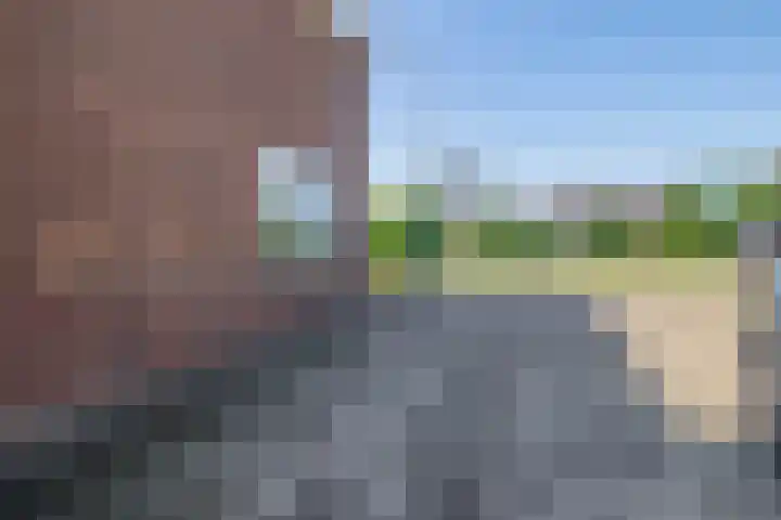 Rodenrijseweg 285 Berkel en Rodenrijs thumbnail 8