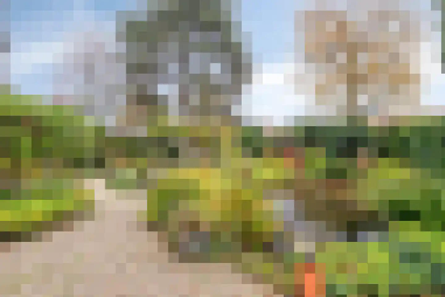 Rodenrijseweg 349 Berkel en Rodenrijs thumbnail 35