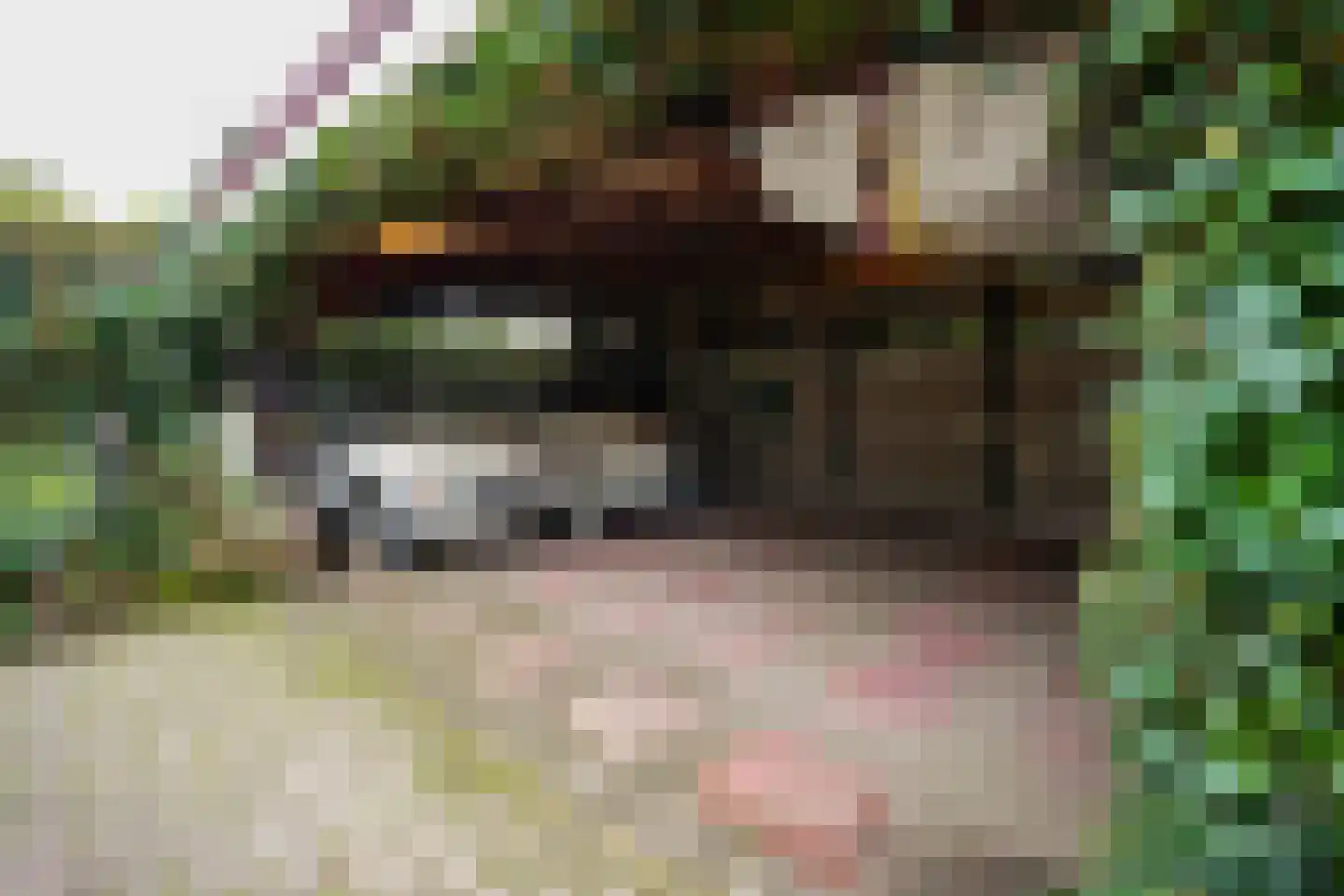 Rodenrijseweg 349 Berkel en Rodenrijs thumbnail 39