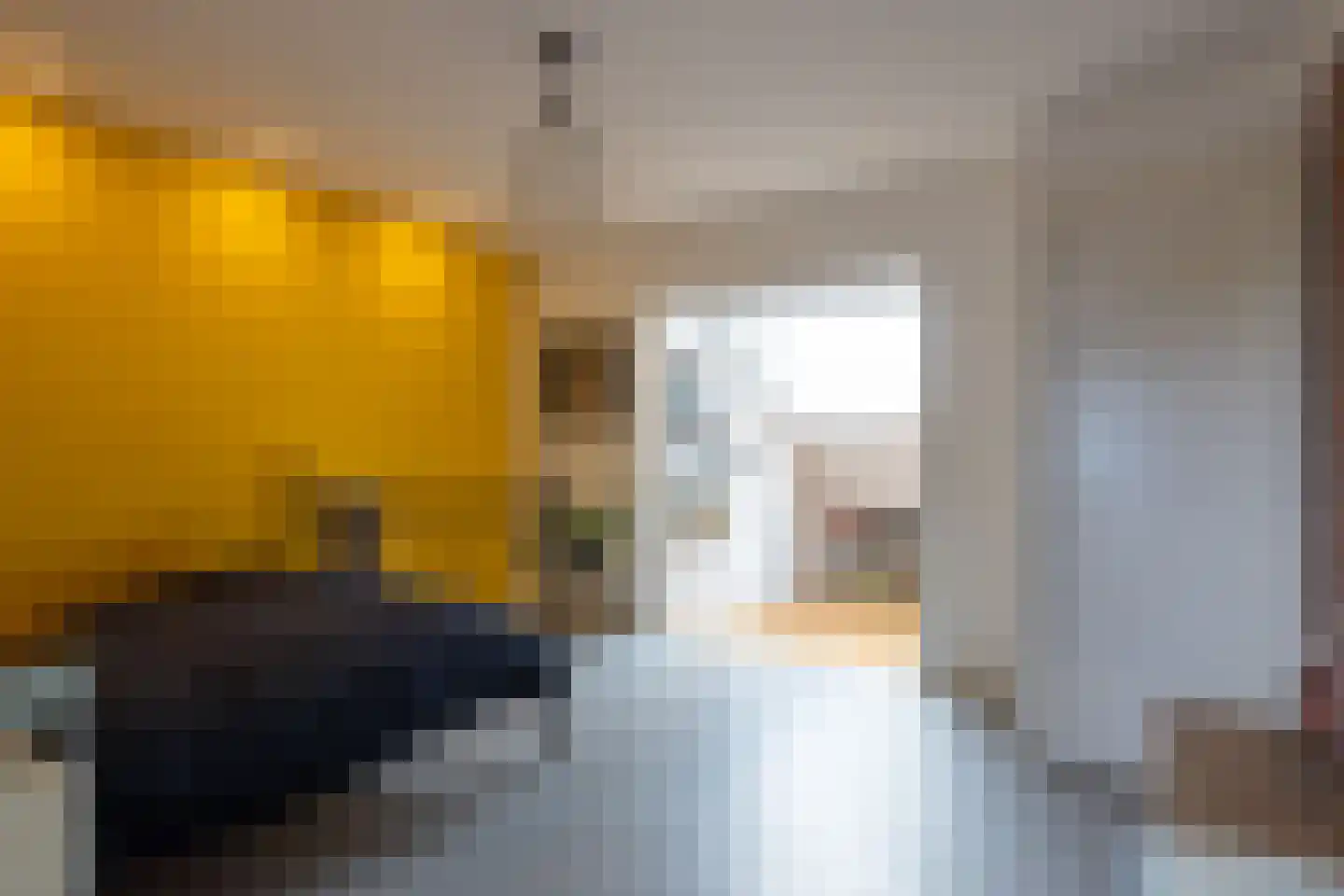 Rodenrijseweg 527 Berkel en Rodenrijs thumbnail 31