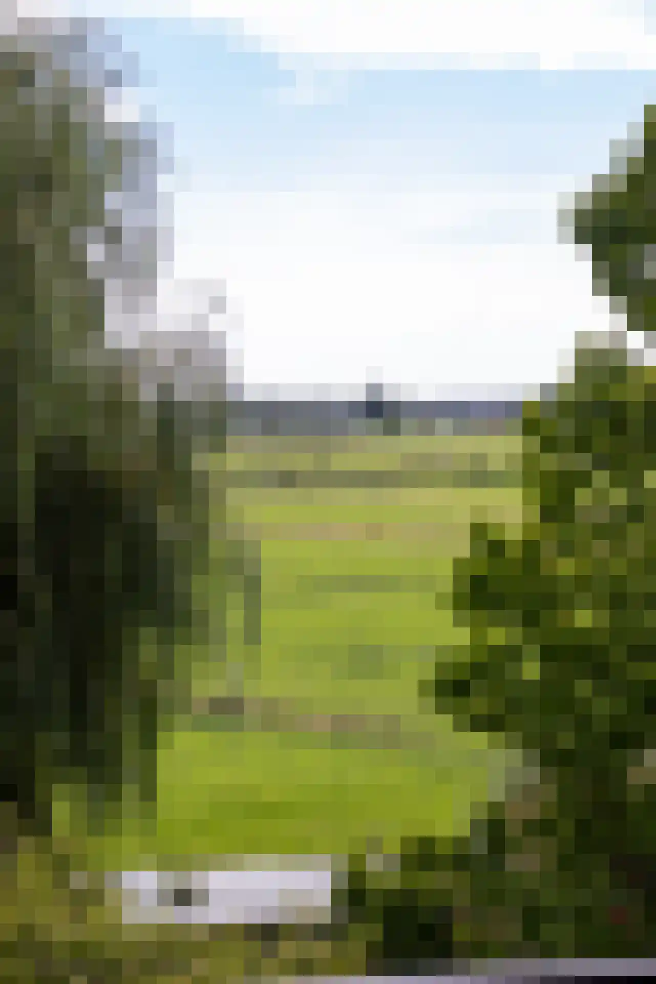 Rodenrijseweg 527 Berkel en Rodenrijs thumbnail 39