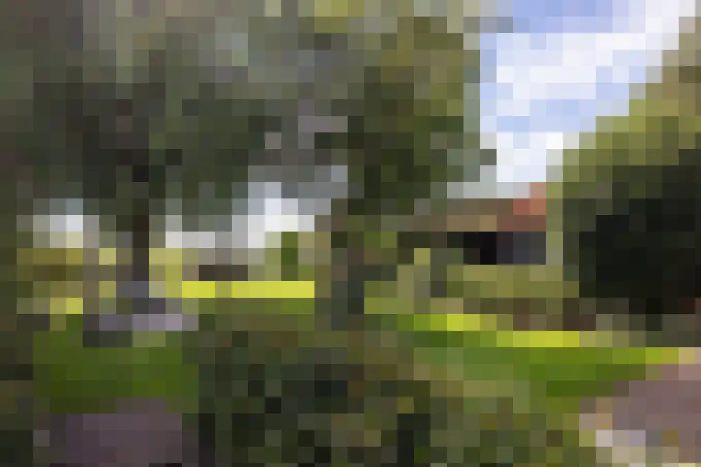 Rodenrijseweg 527 Berkel en Rodenrijs thumbnail 45