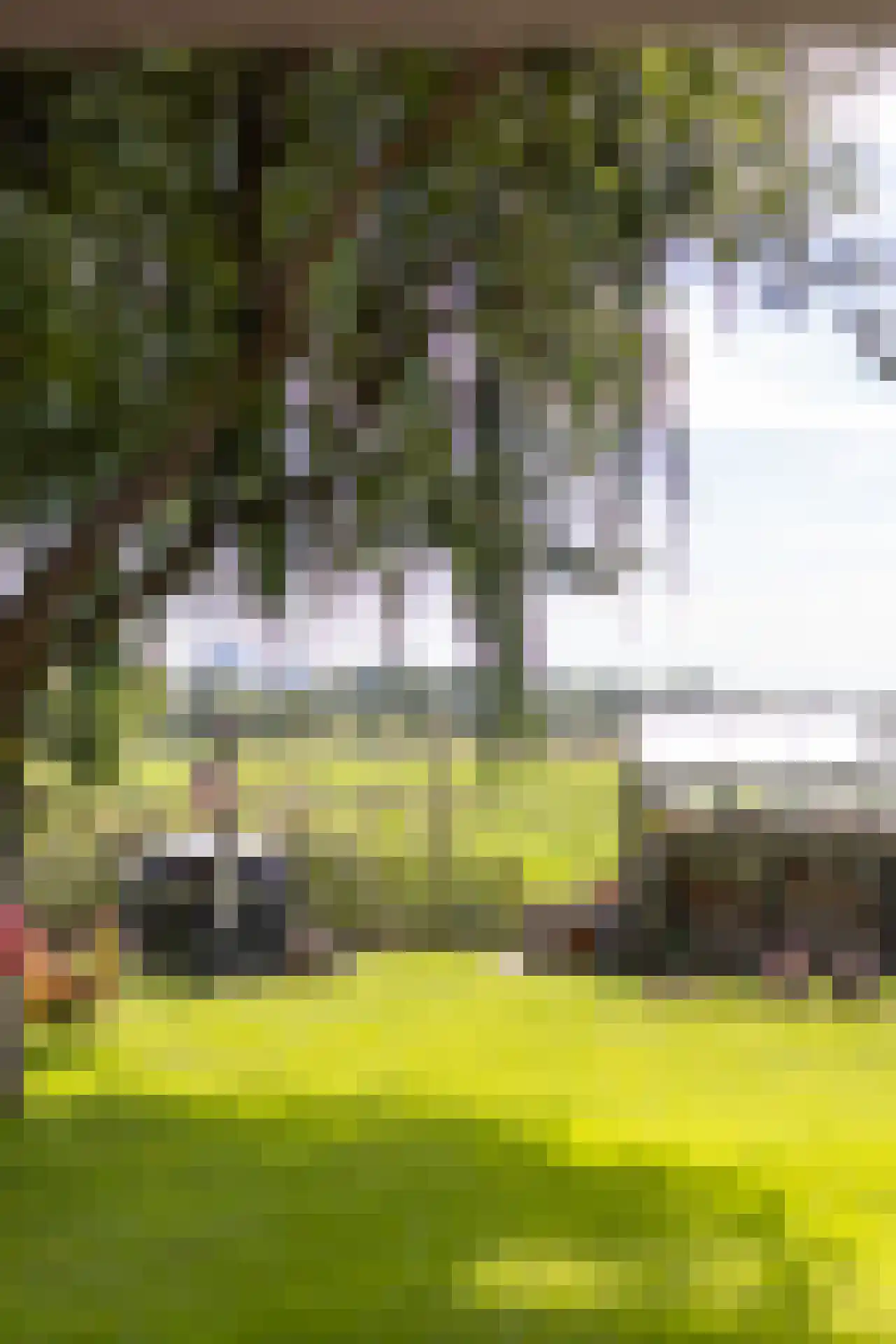 Rodenrijseweg 527 Berkel en Rodenrijs thumbnail 49