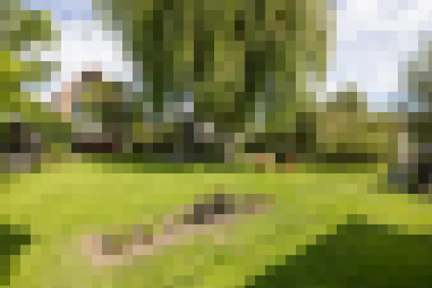 Rodenrijseweg 527 Berkel en Rodenrijs thumbnail 50