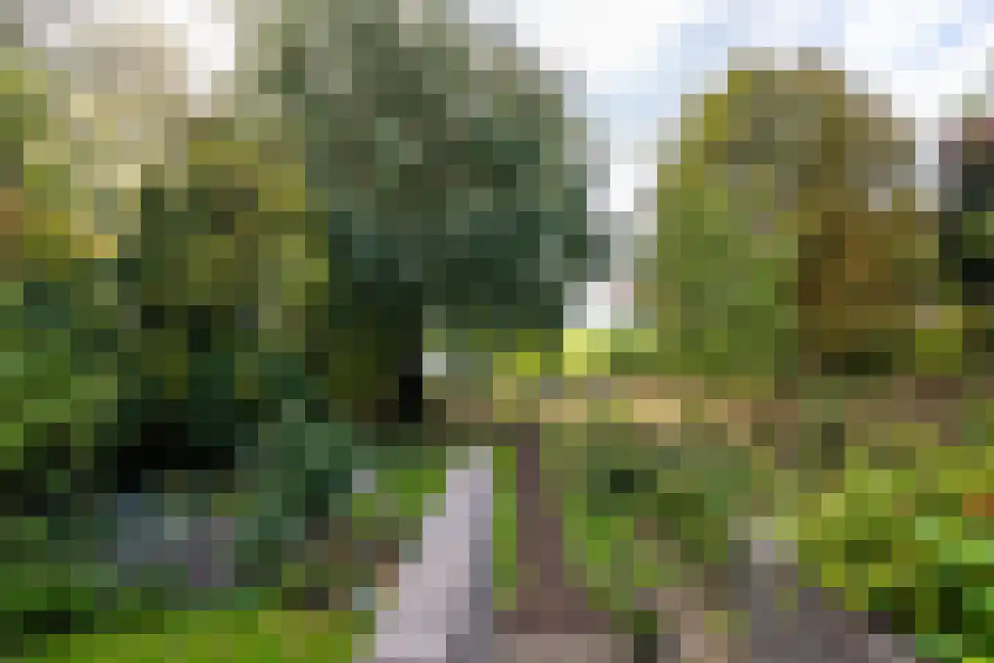 Rodenrijseweg 527 c Berkel en Rodenrijs thumbnail 30