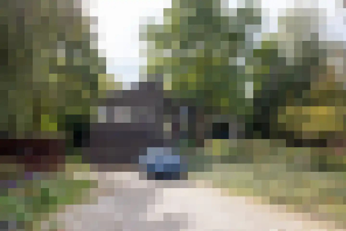 Rodenrijseweg 527 c Berkel en Rodenrijs thumbnail 40