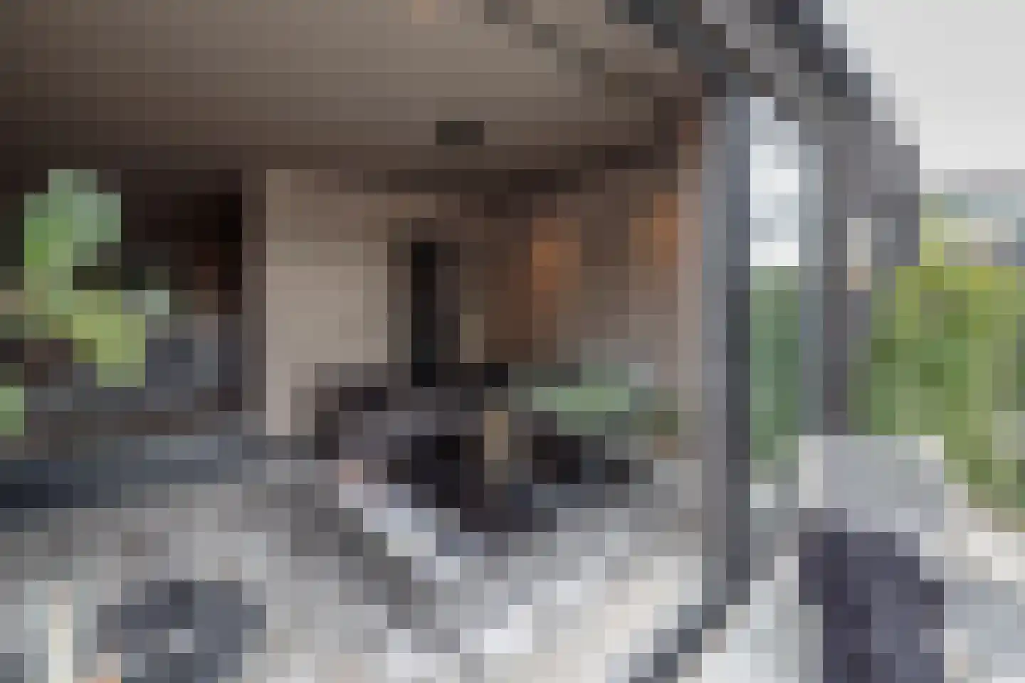 Rodenrijseweg 553 b Berkel en Rodenrijs thumbnail 20