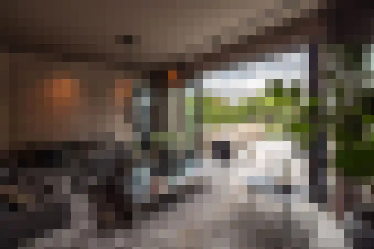 Rodenrijseweg 553 b Berkel en Rodenrijs thumbnail 24