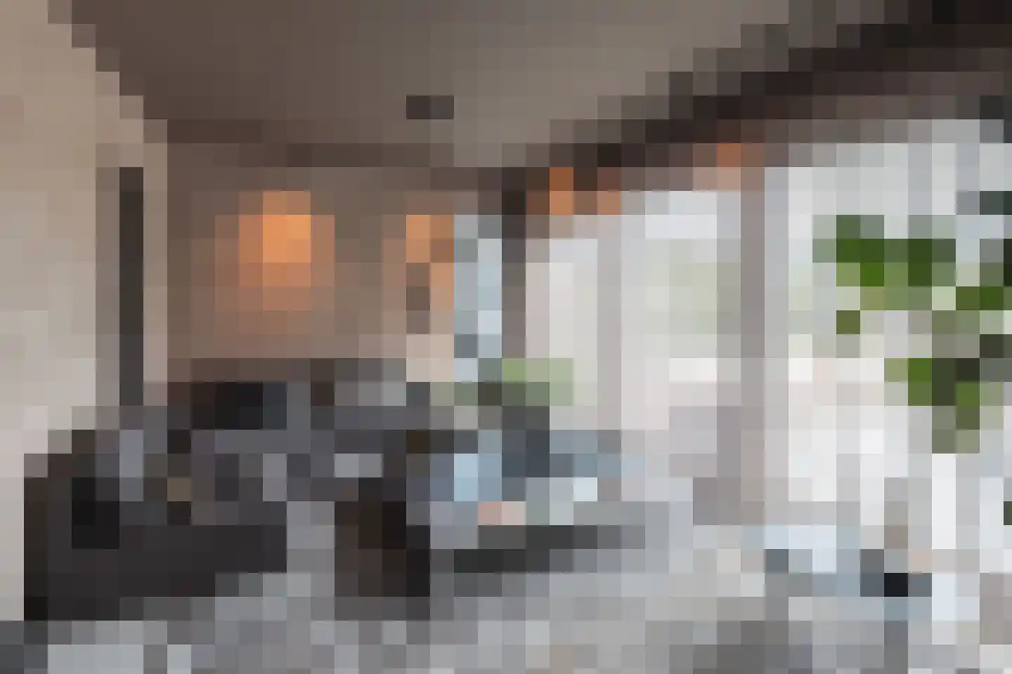 Rodenrijseweg 553 b Berkel en Rodenrijs thumbnail 26