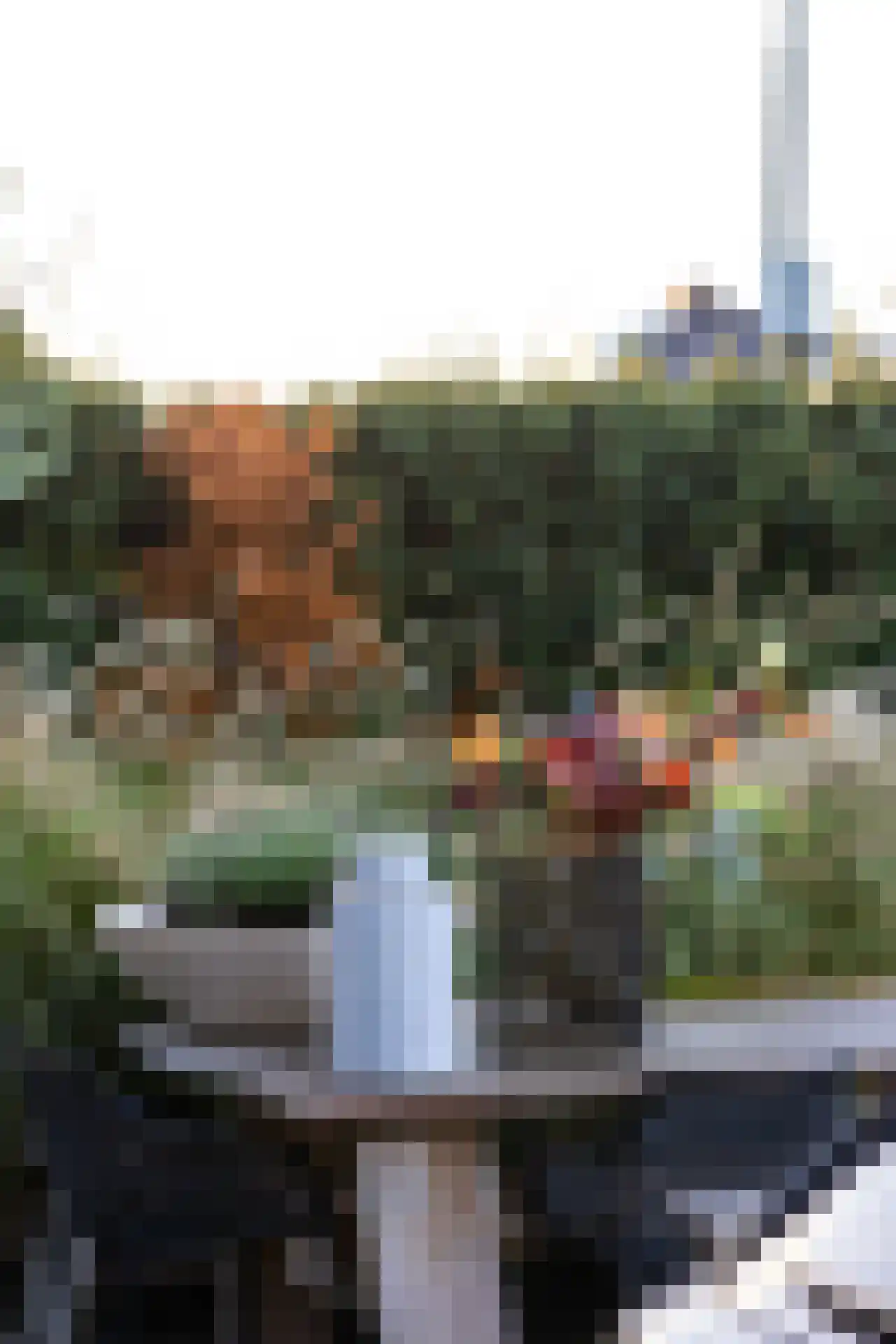 Rodenrijseweg 553 b Berkel en Rodenrijs thumbnail 89