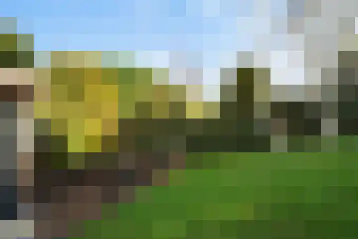 Rodenrijseweg 56 d Berkel en Rodenrijs thumbnail 49