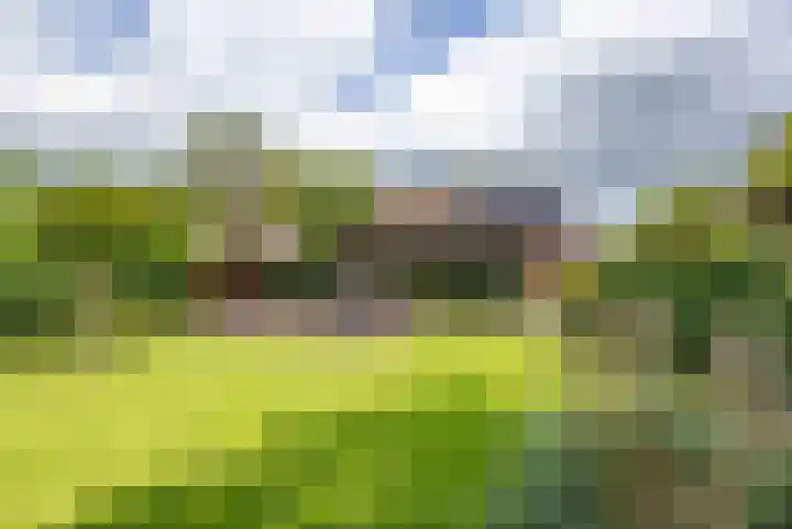 Rodermansstraat 19 Holthees thumbnail 34