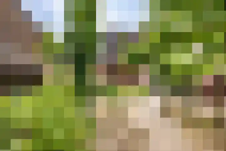 Rodermansstraat 19 Holthees thumbnail 44