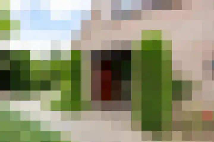Rodermansstraat 19 Holthees thumbnail 6