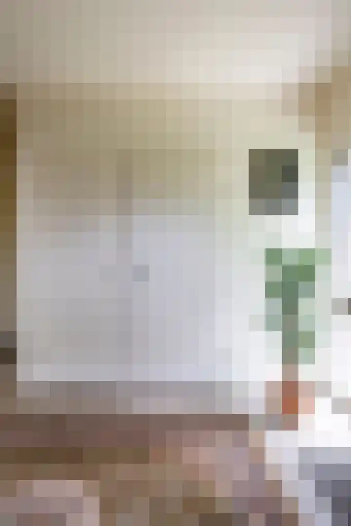 Rodermansstraat 19 Holthees thumbnail 8
