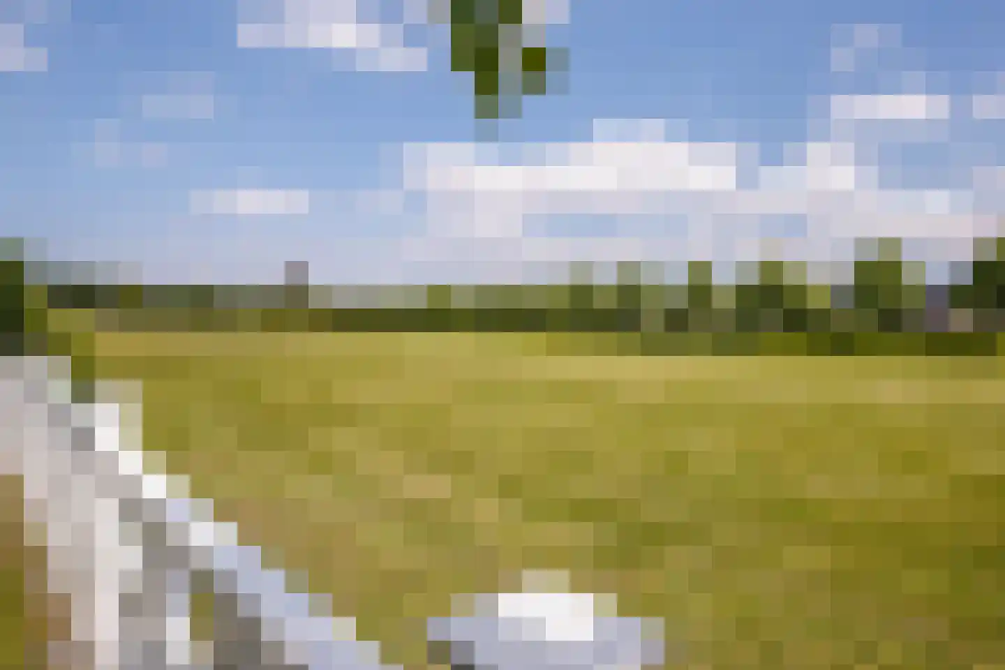 Roderveld 10 Lelystad thumbnail 50