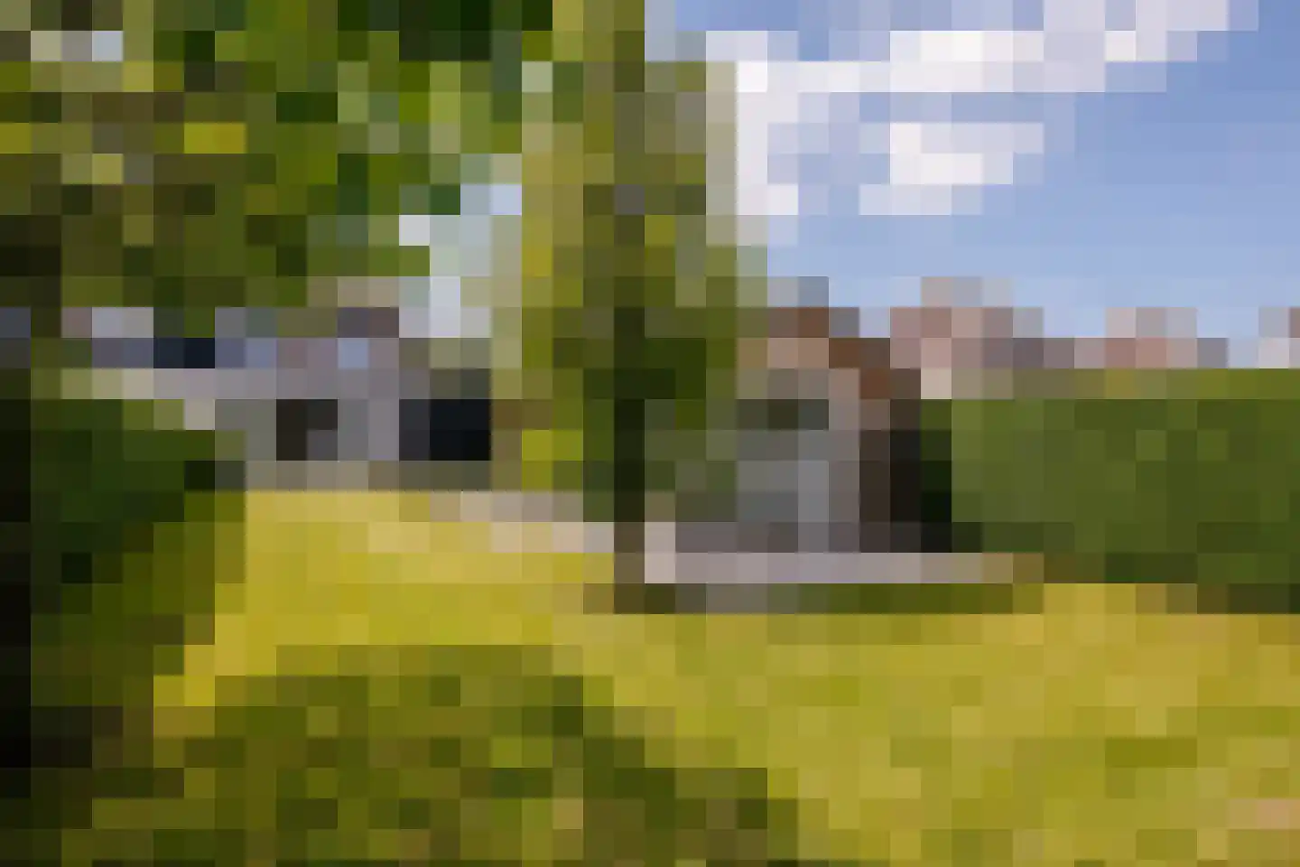 Roderveld 10 Lelystad thumbnail 52