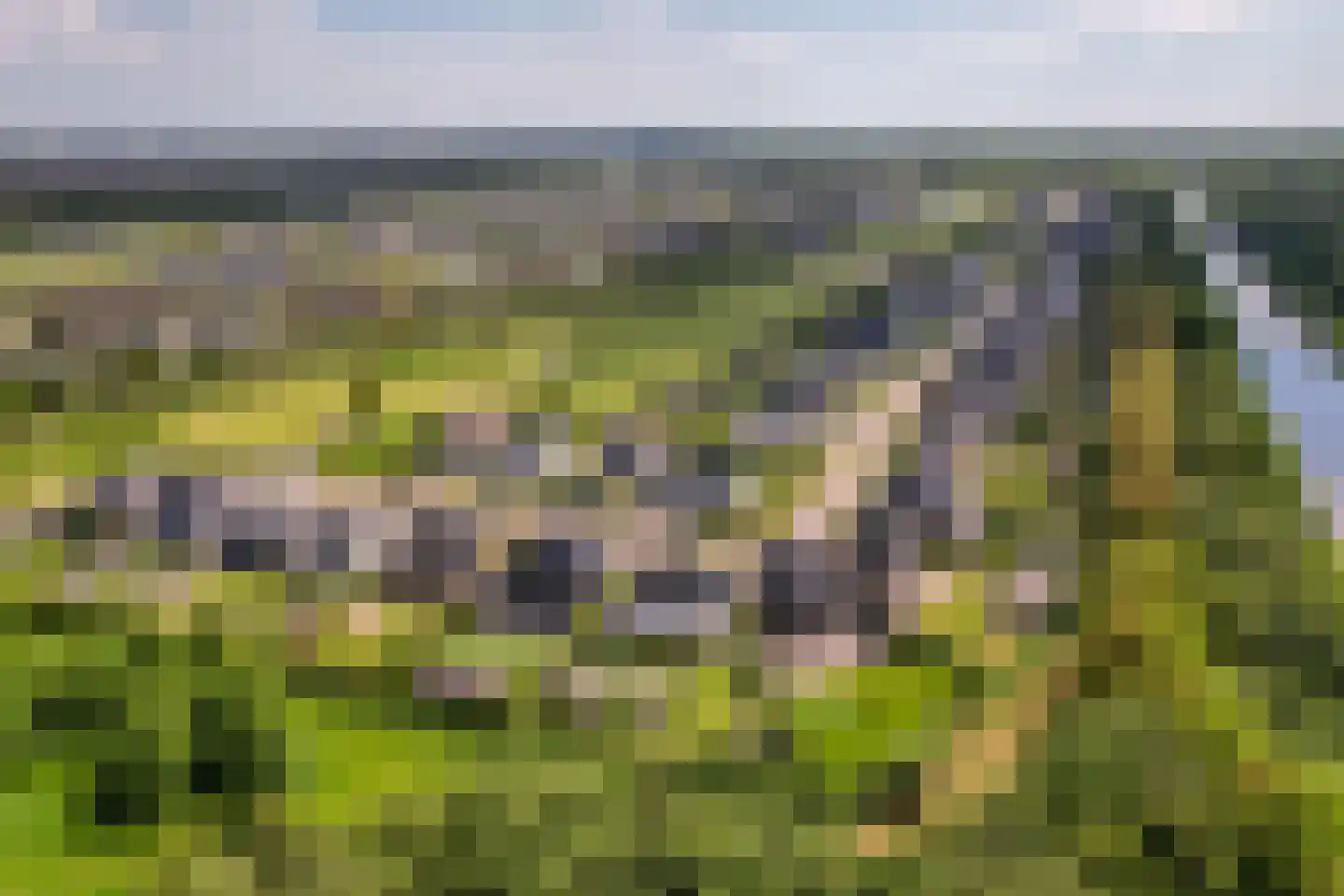 Roderveld 10 Lelystad thumbnail 61