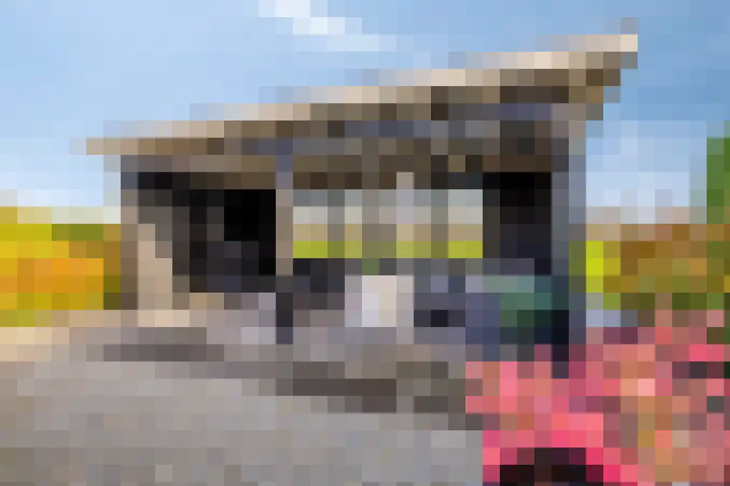 Roderveld 26 Lelystad thumbnail 37