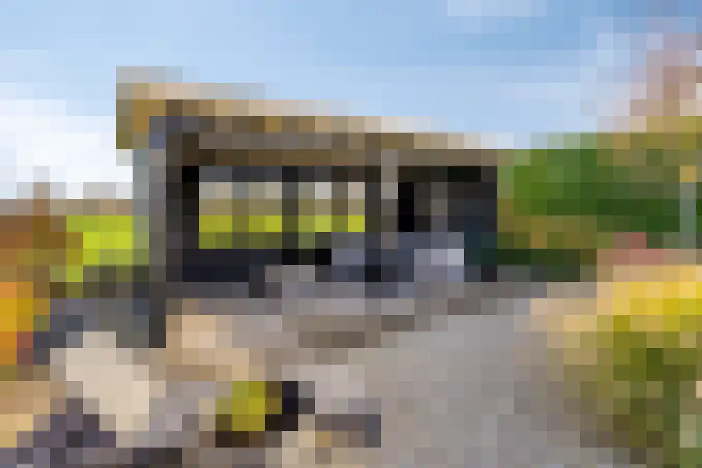 Roderveld 26 Lelystad thumbnail 38