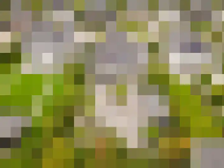 Roderveld 54 Lelystad thumbnail 35