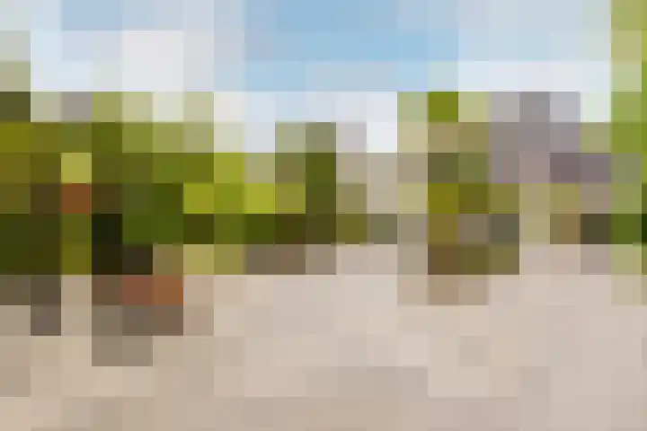 Roderveld 54 Lelystad thumbnail 37