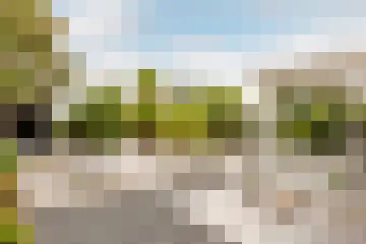 Roderveld 54 Lelystad thumbnail 39