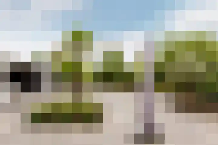 Roderveld 54 Lelystad thumbnail 43