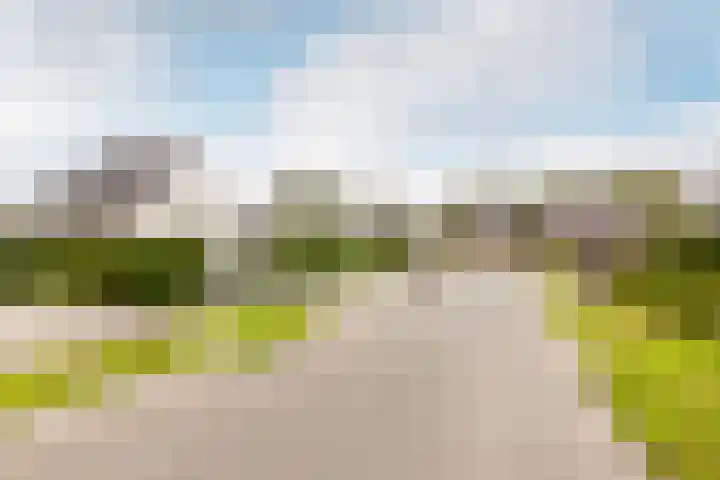 Roderveld 54 Lelystad thumbnail 45