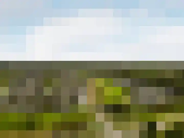 Roderveld 54 Lelystad thumbnail 46