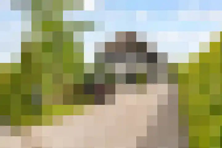 Roderveld 58 Lelystad