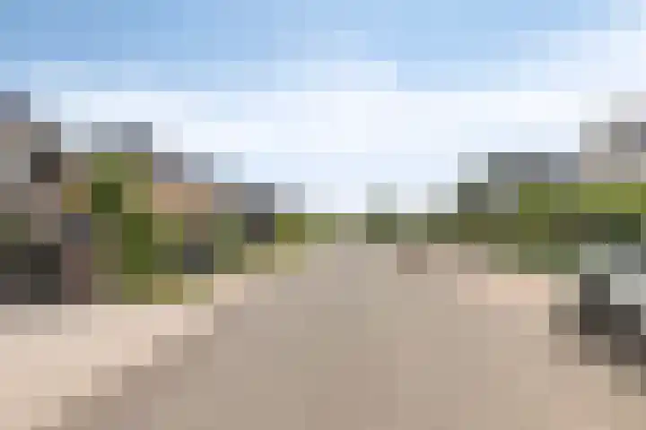 Roderveld 61 Lelystad thumbnail 41