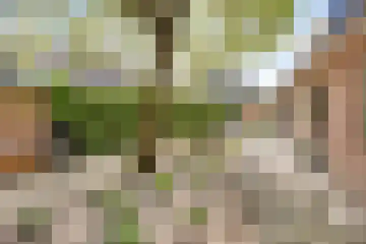 Roderweg 25 Liempde thumbnail 11