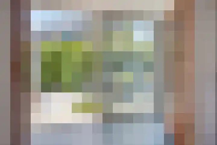 Roderweg 25 Liempde thumbnail 7