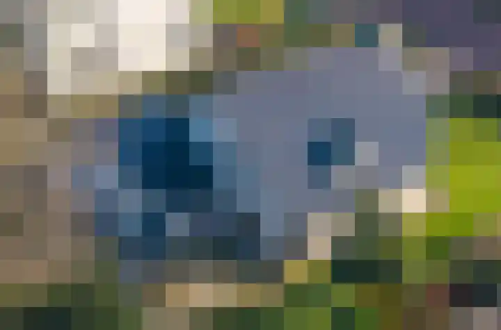 Roderweg 4 Peize thumbnail 25