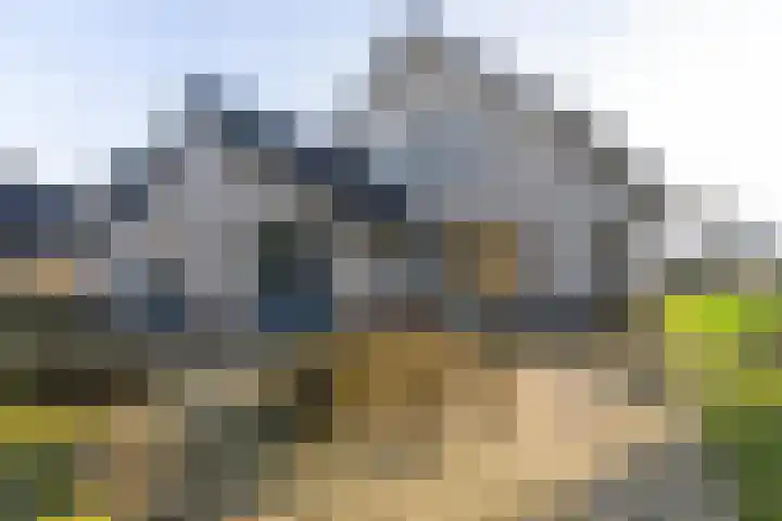 Roderweg 4 Peize thumbnail 26