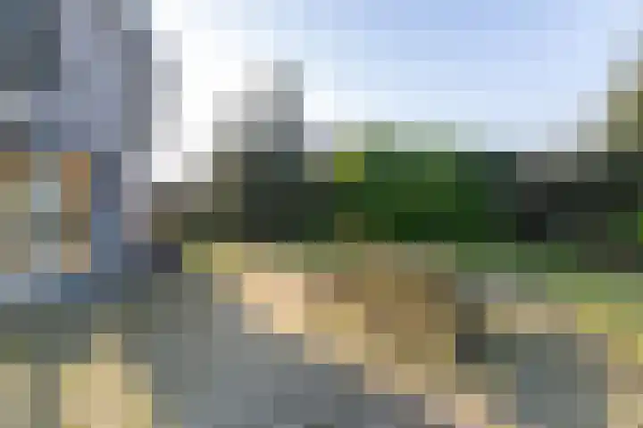 Roderweg 4 Peize thumbnail 27