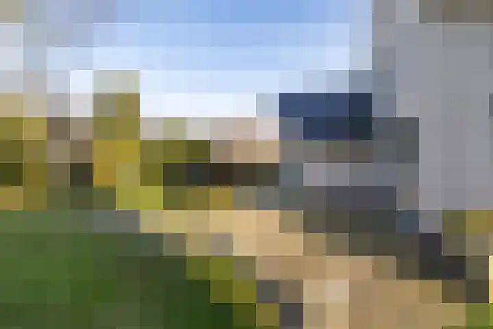 Roderweg 4 Peize thumbnail 29