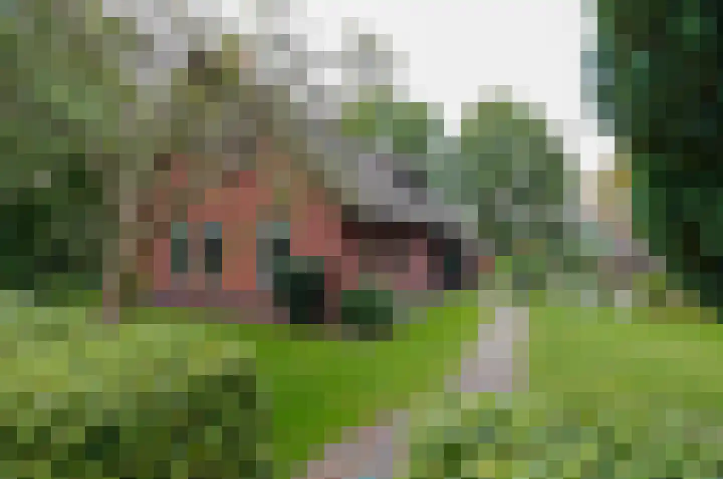 Roderwolderweg 14 A Foxwolde thumbnail 5